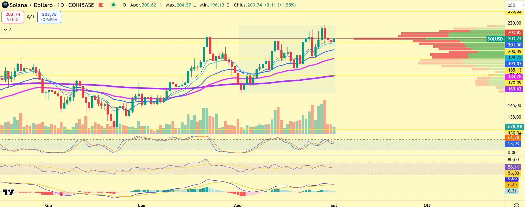 Solana technical analysis showing daily chart resistance at $204