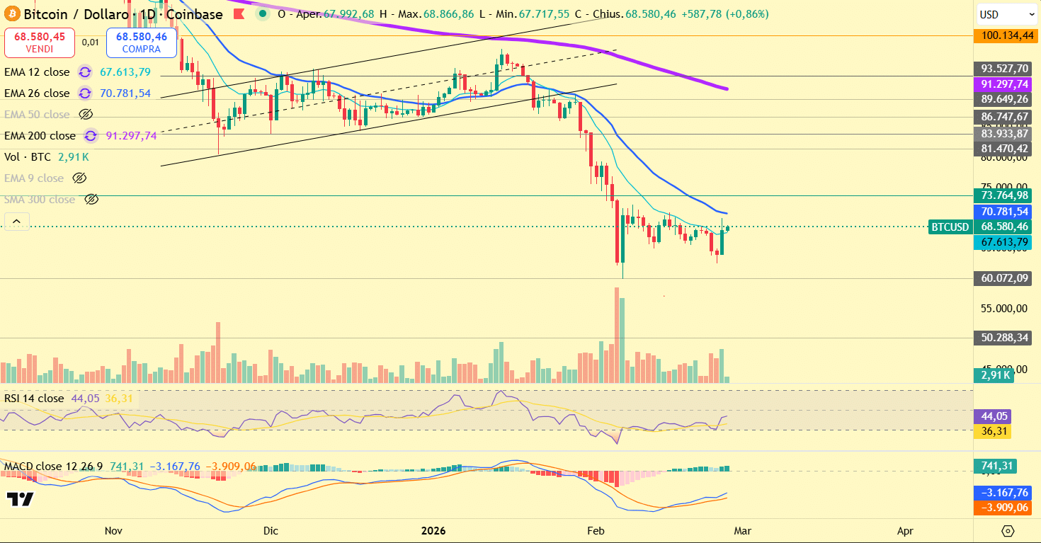 Bitcoin Daily Market Structure Analysis: Sharp Breakdown and Critical Stabilization Phase